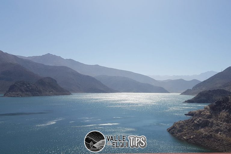 embalse puclaro 768x512