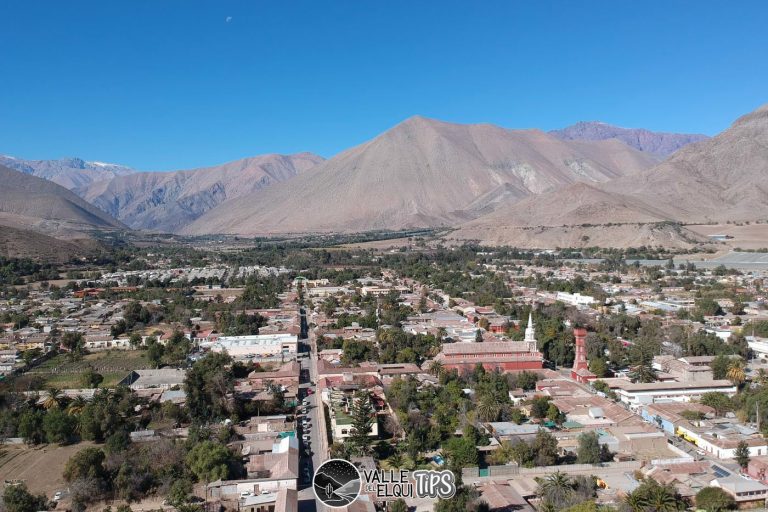 vicuna valle del elqui 768x512