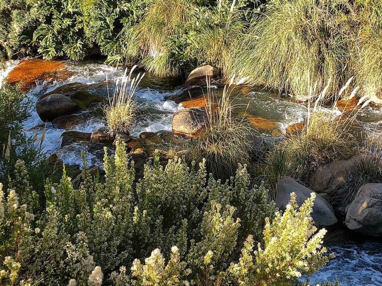 casa del agua lodge cochiguaz 02 768x576