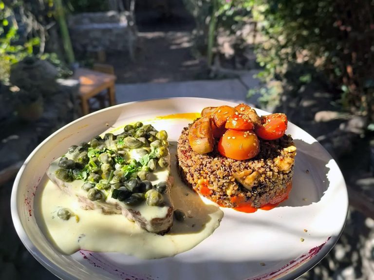 matices del elqui 03 768x576