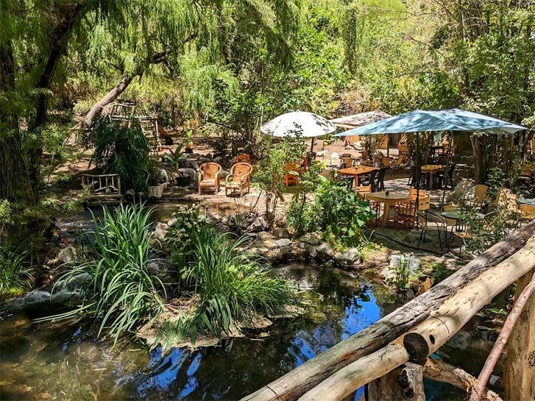 restaurant el bosque 01 768x576