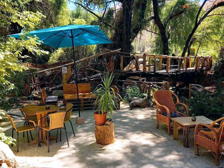 restaurant el bosque 02 768x576