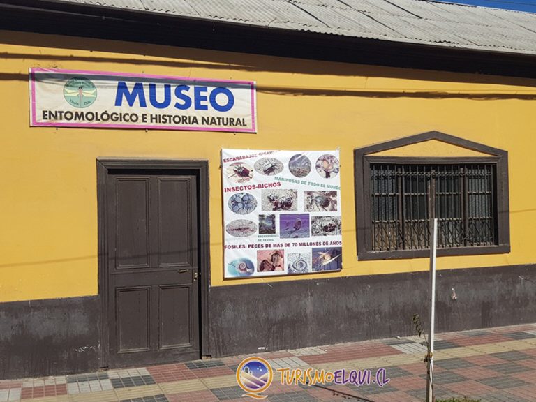 museo entomologico vicuna 01 768x576