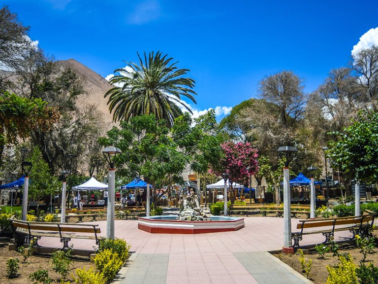 pisco elqui valle de elqui 02 768x576